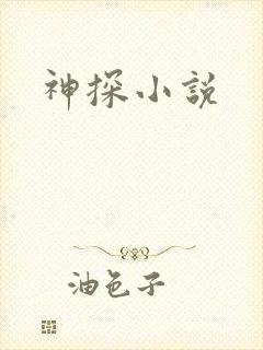 神探小说
