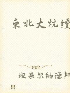 东北大炕续集