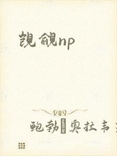 觊觎np封面