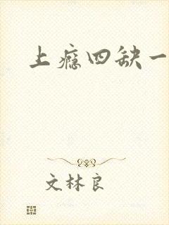 上瘾四缺一封面