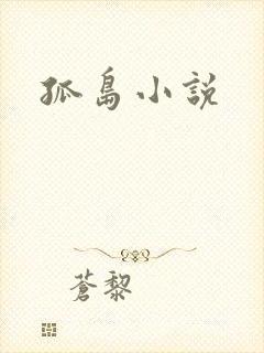 孤岛小说