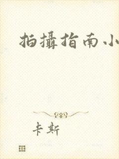 拍摄指南小说