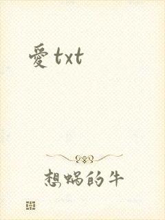 爱txt