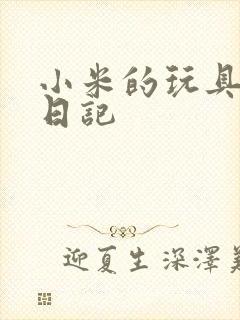 小米的玩具羞辱日记