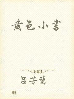 黄色小书