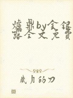 炉鼎by金银花露全文免费阅读笔趣阁