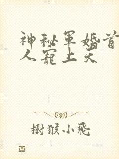神秘军婚首长大人宠上天
