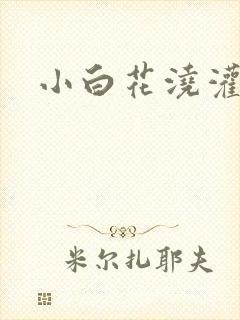 小白花浇灌日常封面