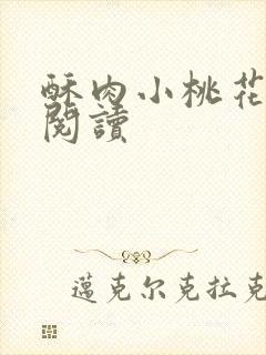 酥肉小桃花全文阅读