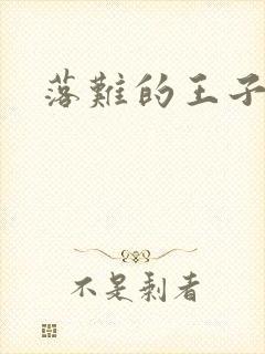 落难的王子封面