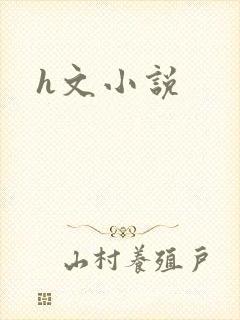 h文小说
