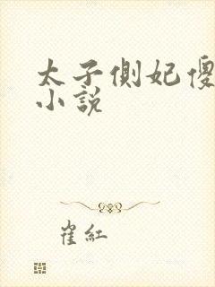 太子侧妃傻乎乎小说