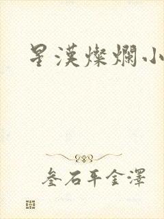 星汉灿烂小说