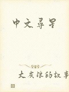 中文寻星封面