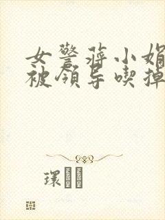 女警蒋小娟的奶被领导吃掉了封面