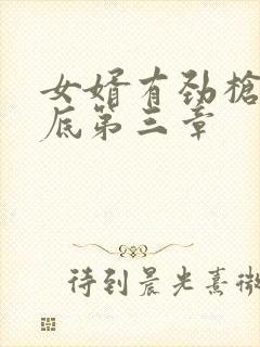 女婿有劲枪枪到底第三章封面