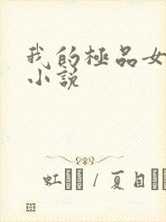 我的极品女老师小说封面