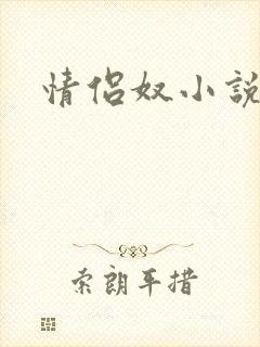 情侣奴小说