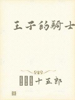 王子的骑士小说