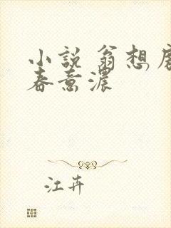 小说 翁想房中春意浓