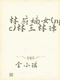 林府嫡女(npc)林玉林璋