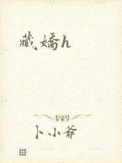 藏娇h