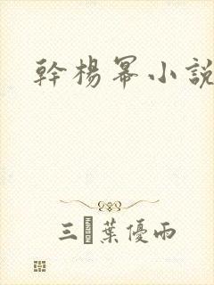 干杨幂小说