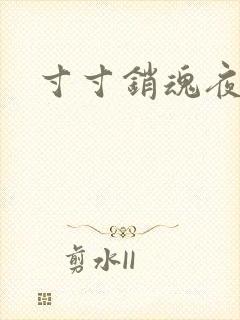 寸寸销魂夜春光