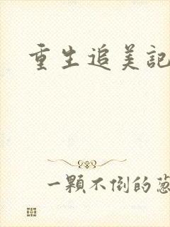 重生追美记2