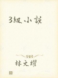 3级小说封面