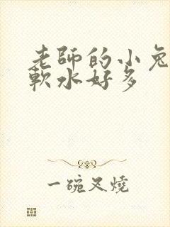 老师的小兔子好软水好多