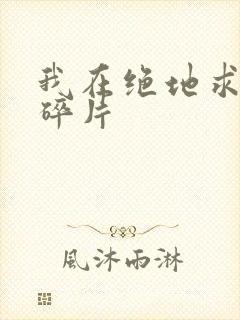 我在绝地求生捡碎片
