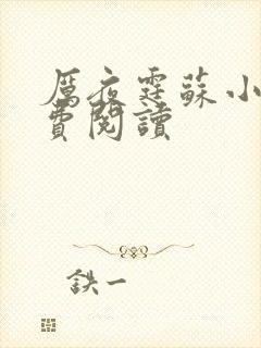 厉夜霆苏小汐免费阅读