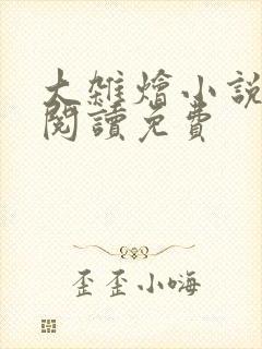 大杂烩小说全集阅读免费封面