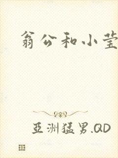翁公和小莹封面