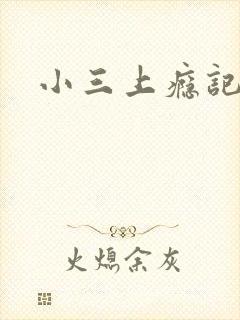 小三上瘾记封面