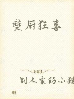 双厨狂喜