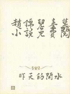 赵锦儿秦慕修的小说免费阅读全文