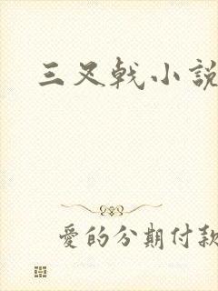 三叉戟小说封面