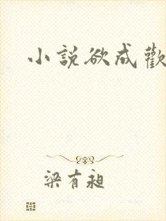 小说欲成欢