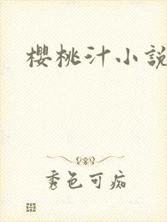 樱桃汁小说封面