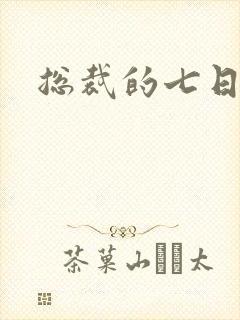 总裁的七日索情