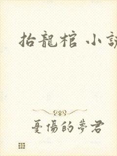 抬龙棺 小说