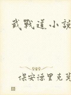 武战道小说