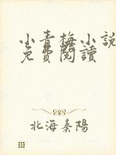 小青梅小说全文免费阅读