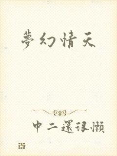 梦幻情天封面