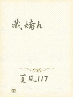 藏娇h封面