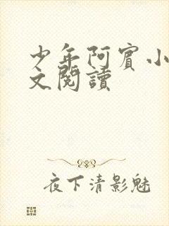 少年阿宾小说全文阅读