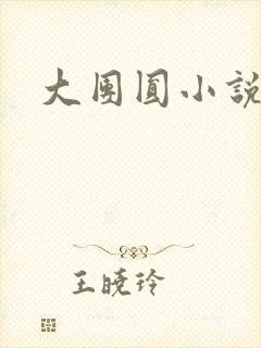 大团圆小说