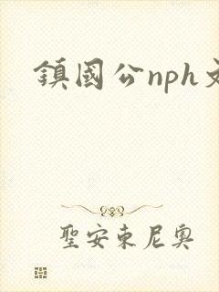 镇国公nph文封面